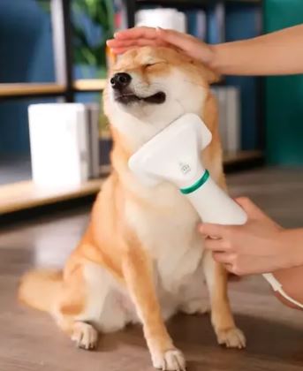 GroomDry™ – Secador + Cepillo Profesional 2 en 1