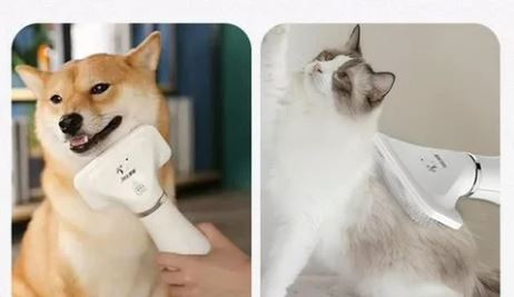 GroomDry™ – Secador + Cepillo Profesional 2 en 1